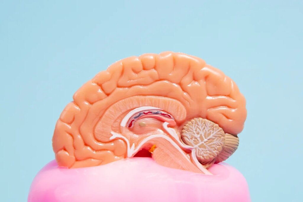Estimulação cognitiva pode retardar perda de funções no Alzheimer