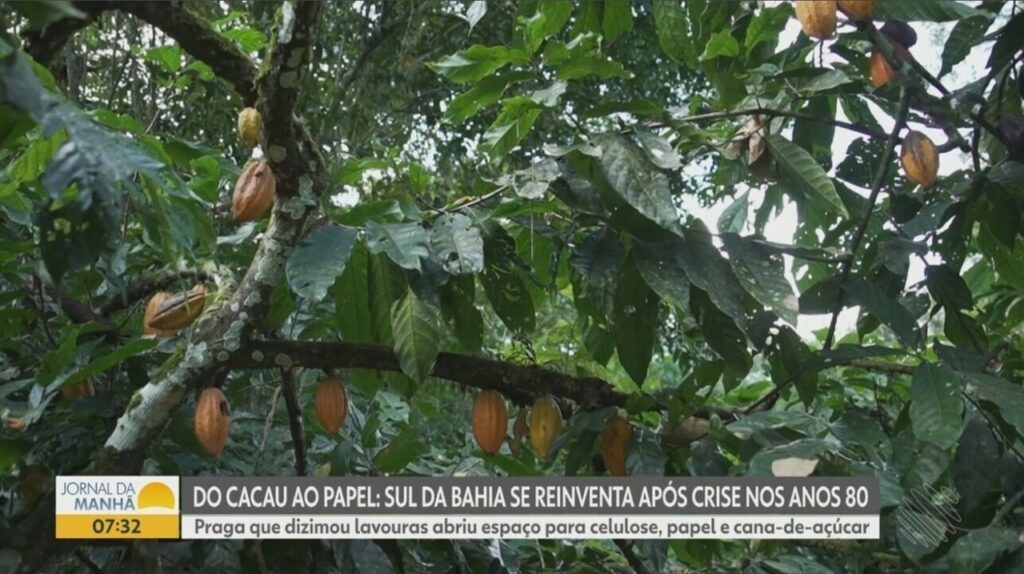 Lindt troca CEO após queda nas vendas e alta no preço do cacau