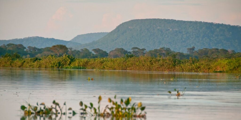 Cerrado já perdeu 13,9 milhões de hectares de margens de rios verdes