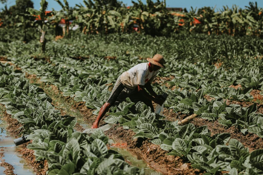 Após três anos de alta, pedidos de recuperação judicial no agro caem no 2º trimestre
