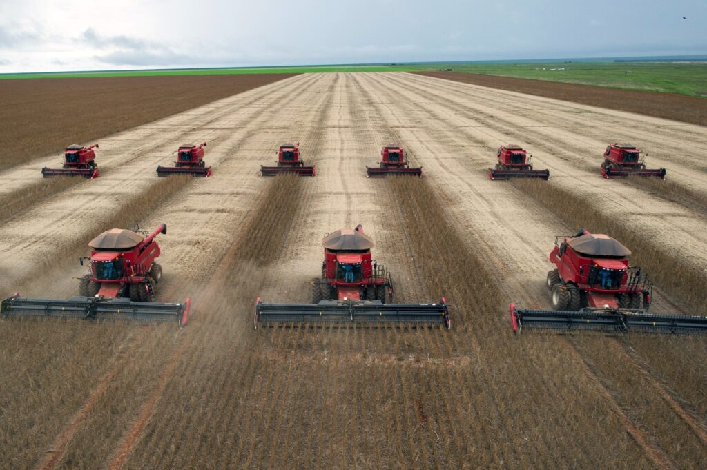 Do endividamento à imagem ruim: os problemas que o agro quer ver resolvidos pelo próximo presidente