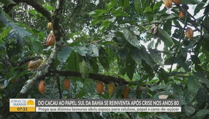 Lindt troca CEO após queda nas vendas e alta no preço do cacau