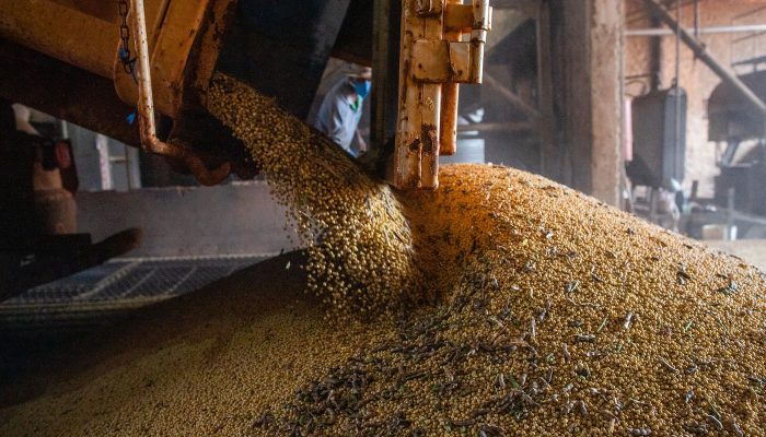 Produção brasileira de grãos deve aumentar apesar do El Niño