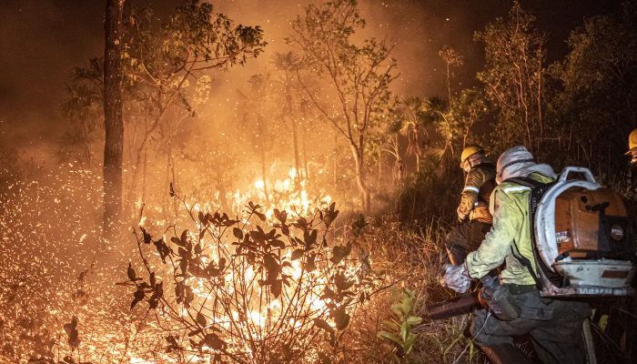 Ibama extingue 229 incêndios no Amazonas e segue no combate ao fogo