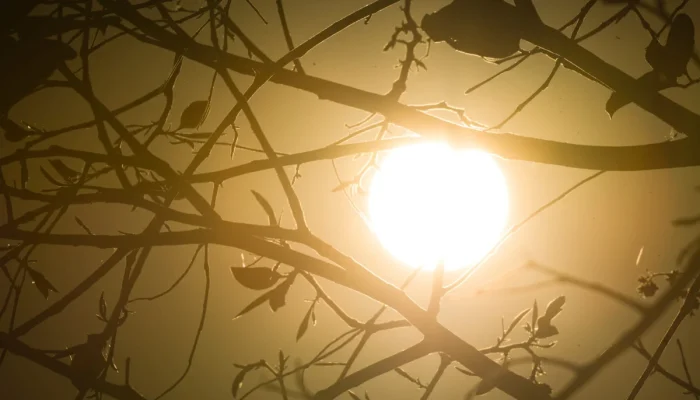 BH entra em alerta para onda de calor forte até quinta-feira (15/10)