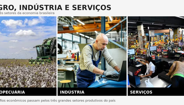 Desafios da economia brasileira: juros altos e o próximo governo