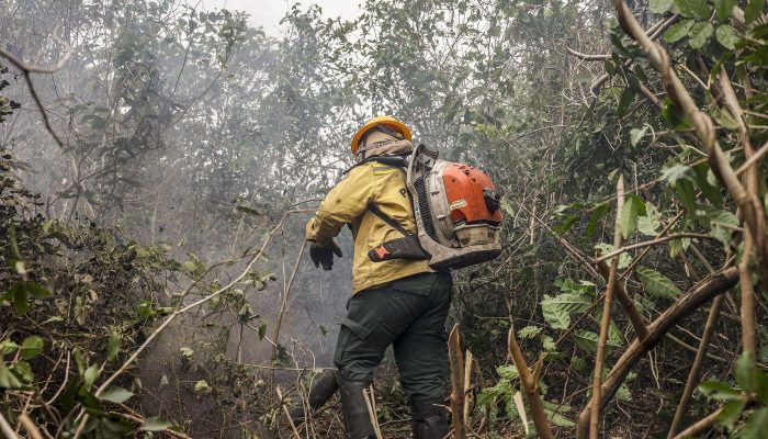 Amazonas tem 540 focos de incêndio nas últimas 48 horas