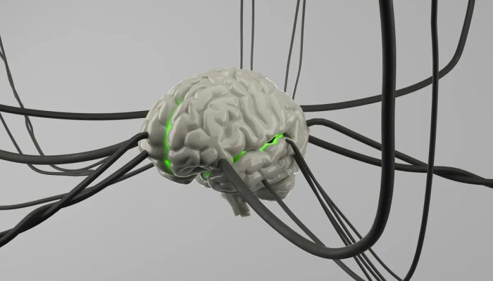 Cientistas identificam alvo no cérebro para conter inflamação no Alzheimer