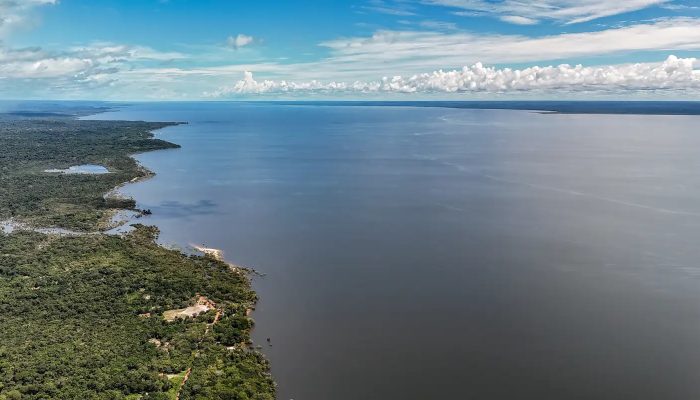 Veja os planos de governo de Flávio e Lula para meio ambiente e clima