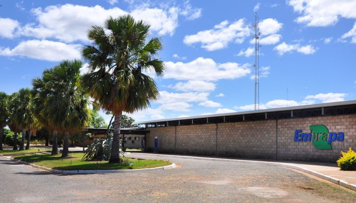 Embrapa é designada como Centro de Referência para Florestas Plantadas