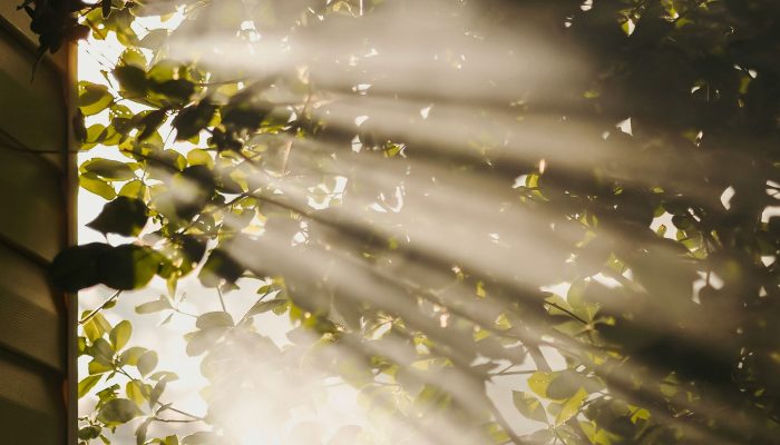 Dispositivo transforma luz solar em combustível sem necessidade de bateria