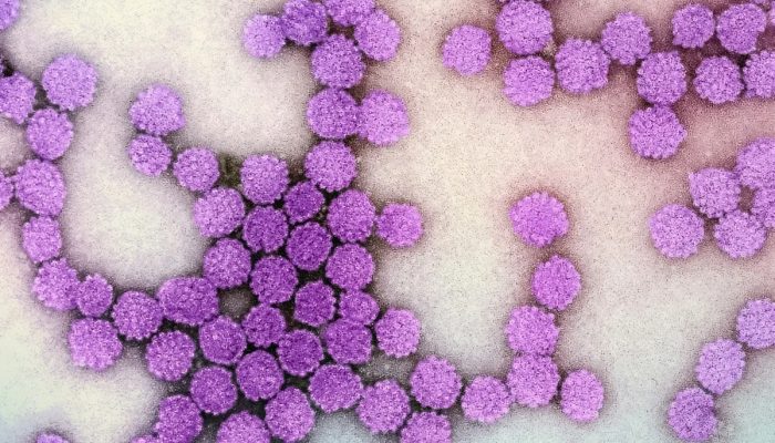 Terapia epigenética pode reduzir atividade do vírus da hepatite B
