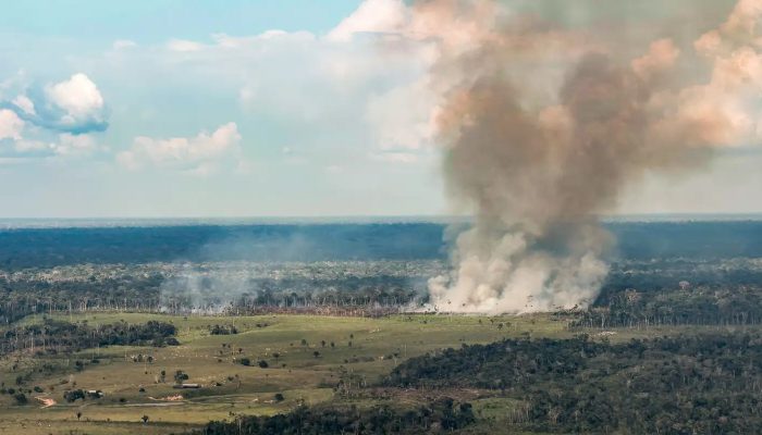 Incêndios avançam sobre o oeste do Pará e deixam ar insalubre