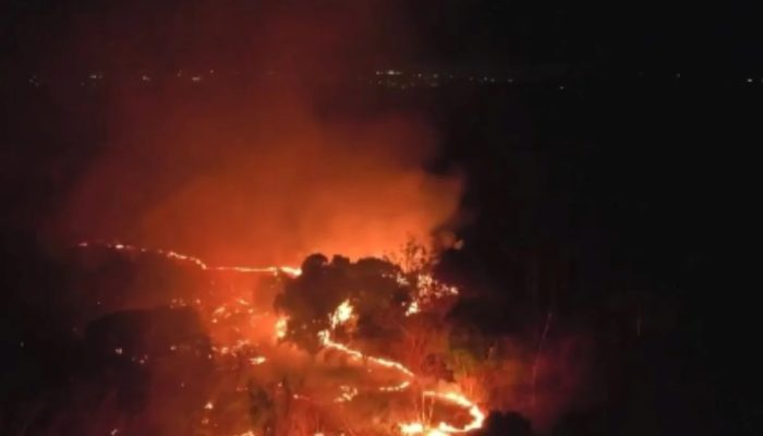 Incêndio em área da Embrapa mobiliza Exército e bombeiros em Teresina (PI)