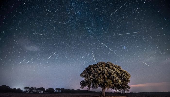 Chuva de meteoros Táuridas poderá ser vista do Brasil nesta terça (13/10)