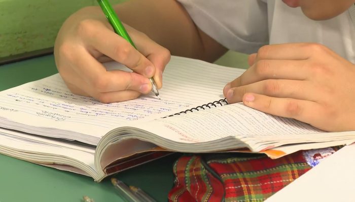Dinamarca quer usar provas orais para combater cola com AI nas escolas