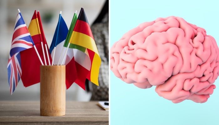 Quanto mais idiomas você fala, mais jovem seu cérebro pode parecer, indica pesquisa