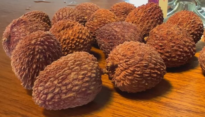 Produtores de lichia ampliam mercado e apostam em novos produtos para reduzir perdas
