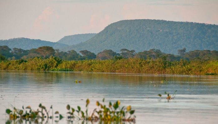 Cerrado já perdeu 13,9 milhões de hectares de margens de rios verdes