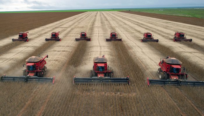 Do endividamento à imagem ruim: os problemas que o agro quer ver resolvidos pelo próximo presidente