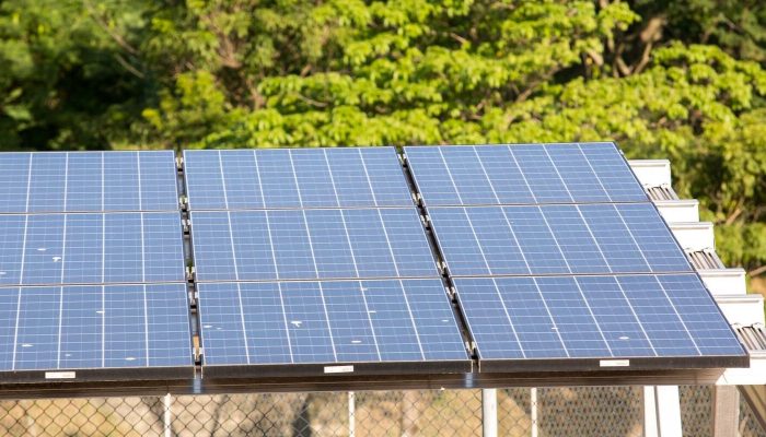 5º leilão do Eco Invest atrai quase R$ 50 bi para investimentos verdes