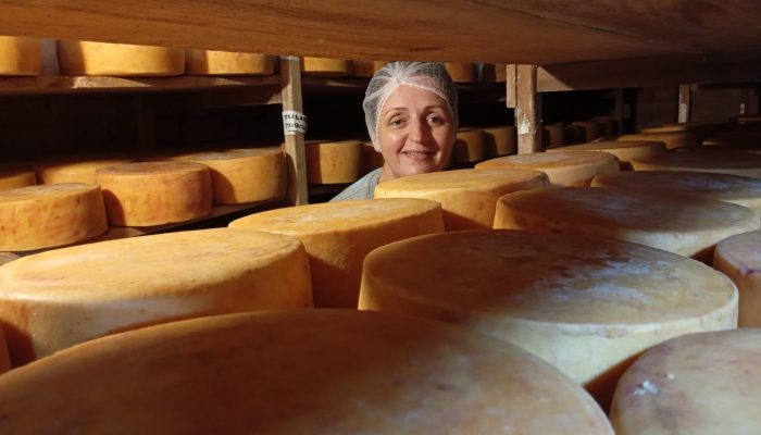 Para não vender vacas, produtora rural cria queijaria premiada
