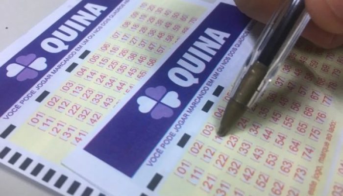 Quina 7147 acumula, e prêmio vai a R$ 55 milhões. Veja resultado