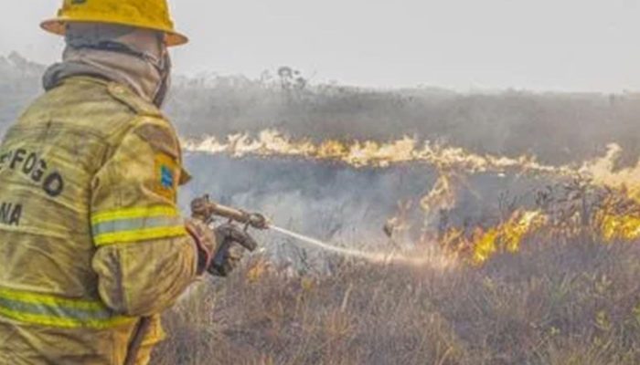 Governo investiga se há organização por trás dos incêndios no Amazonas