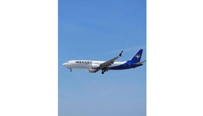 Anac autoriza nova aérea canadense a voar para o Brasil; veja quando começam os voos